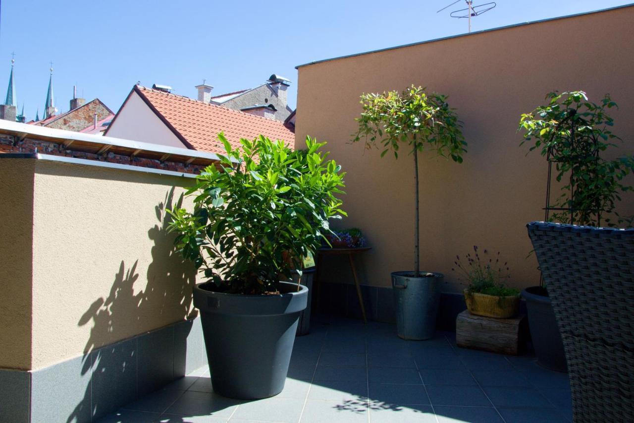 U Paluku Apartment Chrudim Luaran gambar